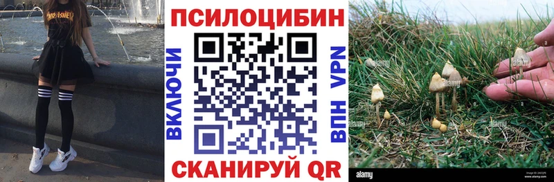 как найти наркотики  Козловка  Псилоцибиновые грибы мухоморы 