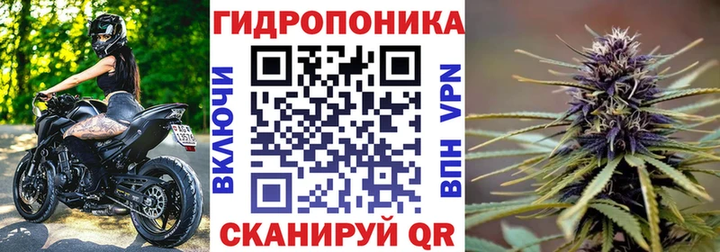 Шишки марихуана сатива OMG как войти Козловка